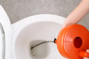 bright orange snake used on the toilet