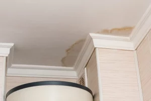 water leak in the ceiling causing damage